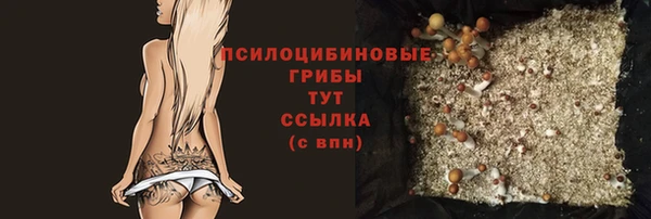винт Михайловка