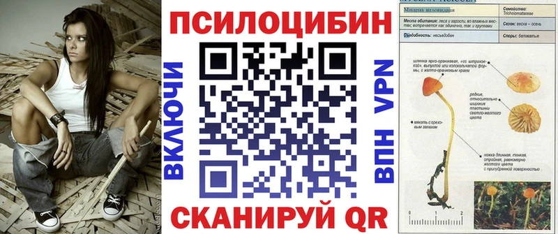 как найти   Бабушкин  Галлюциногенные грибы Cubensis 